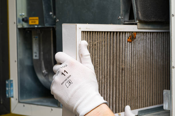 Best Ductwork Cleaning Services  in Chama, NM